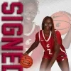 kangoeroes basket Facebook