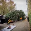 kerstboom Sint-Katelijne-Waver Grote Markt Brussel