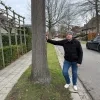 Bomenkap verdeelt woonwijken