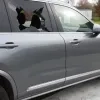inbraak auto