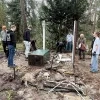 Afbraak weekendzone Arendonk