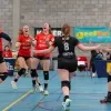 VC Geel wint met 3-0 van Genk