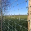 Defensie zet hek rond  vliegveld Weelde: recreanten vormen te groot veiligheidsrisico