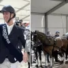 Wereldbeker Jumping Mechelen Gilles Thomas Dries Degrieck