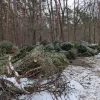 Scouts Bosvogels maken zich op voor kerstboomverbranding