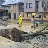 Waterlek Zammelseweg