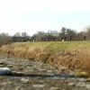 Halve marathon door Lier