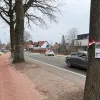 bomenkap kasterlee