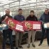 Eerste asperges in serre komen uit Sint-Katelijne-Waver