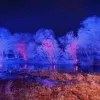 winterwandeling
