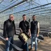 Asperges uit volle grond worden verwacht in maart