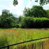 Grooten Singel Turnhout