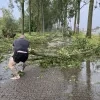 Boom op baan storm Tisselt