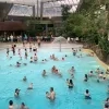 Subtropisch Zwembad Sunparks Mol 