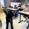 Hugo Bouvier zomerschool hond Duffel 't Kofschip