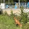 reetje in vaart Geel Ten Aard