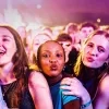 Gladiolen festival Olen