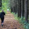 Wandelen in bos