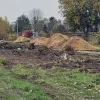 Bomenkap aan Berkemus Noorderwijk